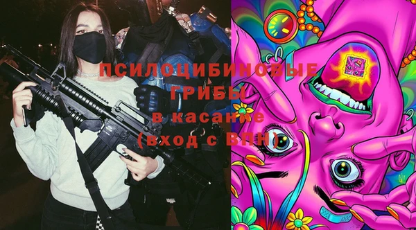 2c-b Белокуриха